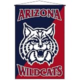 Biederlack Arizona Wildcats Wallhanging