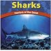 Books : Sharks: Hunters of the Deep (Wild World of Animals)