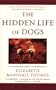 The Hidden Life Of Dogs