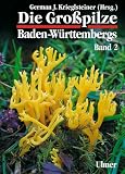 Die Grosspilze Baden-W&uuml;rttembergs: Die Gro&szlig;pilze Baden-W&uuml;rttembergs, Bd.2, St&auml;nderpilze: Leisten-, Keulen-, Korallen- und Stoppelpilze, Bauchpilze, R&ouml;hrlings- und T&auml;ublingsartige - 