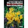 Die Grosspilze Baden-W�rttembergs: Die Gro�pilze Baden-W�rttembergs, Bd.2, St�nderpilze: Leisten-, Keulen-, Korallen- und Stoppelpilze, Bauchpilze, R�hrlings- und T�ublingsartige