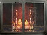 Review Minuteman  / Modern Studio Fireplace Glass Door