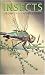 Insects of the Los Angeles Basin