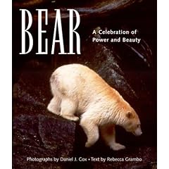Bear: A Celebration of Power and Beauty