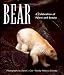 Bear: A Celebration of Power and Beauty