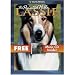 Search : Lassie: The Painted Hills with BONUS CD Rocky Mountain Rain