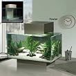 Fluval Edge Aquarium Set, Pewter, 6-Gallon