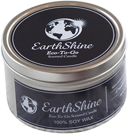 EarthShine Scented Candles Cranberry & Spice Supremely Scented 400gm Travel Safe Candle. 100% Vegan 100% Eco-Friendly Sustainable Botanical Wax. Made In USA. FREE GIFT: Mini Candle