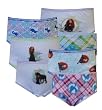Disney Brave Merida 7 Pack Girls Brief Style Panties for girls