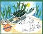The Smallest Turtle (Gold Star First Readers)