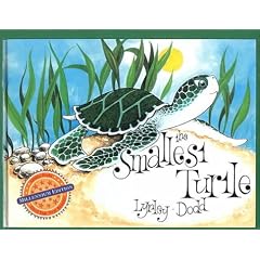 The Smallest Turtle