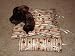 Brown Paw Print Sleeping Bag to fit Webkinz