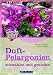 Duftpelargonien ausw�hlen und 