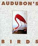 Audubon's birds