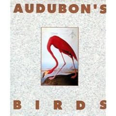 Audubon's Birds: Miniature Edition (Miniature Editions)
