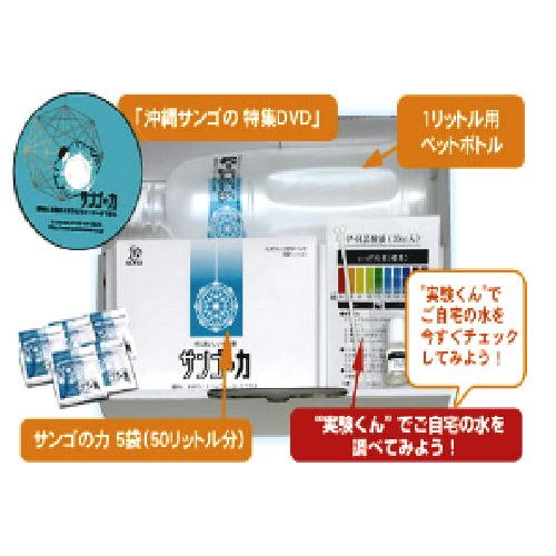 サンゴの力体験キット