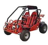 New Go Kart 250cc