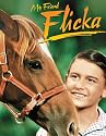 My Friend Flicka