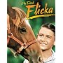 My Friend Flicka