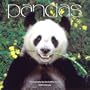 Pandas 2006 Calendar