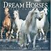 Dream Horses 2005 (Workman Wall Calendars)