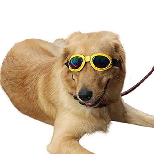 Pet Glasses Dog Sunglasses Dog Glasses Golden Retriever Samoyed