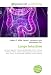 Large Intestine: Gut flora, Digestion, Human gastrointestinal tract, Animal, Vertebrate, Feces, Cecum, Colon (anatomy), Ilium (bone), Pelvis, Waist, Small intestine, Abdomen, Anus, Intestine