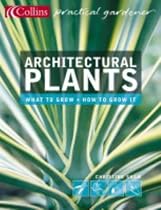 Architectural Plants: Ferns, Palms, Hostas and Yuccas (Collins Practical Gardener)