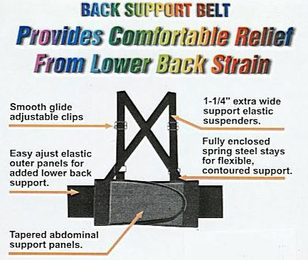 Back Brace Support Belt with Suspenders (Fits waist 38