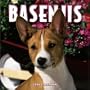Basenjis 2004 Calendar
