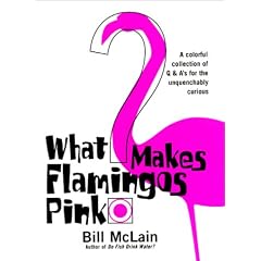 What Makes Flamingos Pink : A Colorful Collection of Q & A's for the Unquenchably Curious