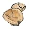Youth Mizuno GXC100 Catchers Mitt RHT