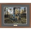 Busted-WTD Framed Print By Anthony J. Padgett