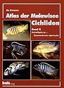 Atlas der Malawisee-Cichliden, Bd.2, Petrotilapia sp. - Tyrannochromis nigriventer
