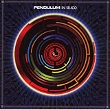 In Silico