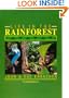 Life in the Rainforest