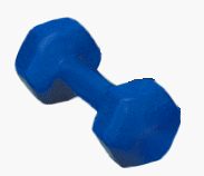 8lb Neoprene-Covered Dumbbell
