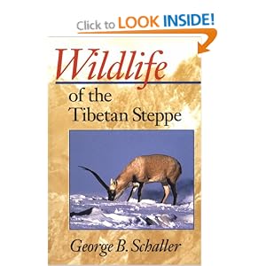 Wildlife of the Tibetan Steppe