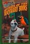Riddle of the Wayward Books (Wishbone Mysteries)