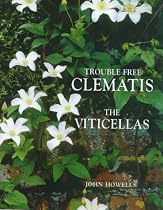 Trouble Free Clematis: The Viticellas