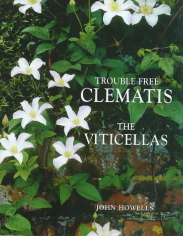 Trouble-free Clematis: Viticellas