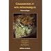 Chamanisme et Arts Pr�historiques : Vision Critique
