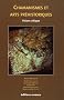 Chamanisme et Arts Pr�historiques : Vision Critique