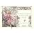 A Flower Fairies Postcard Book
