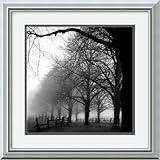 Black and White Morning Framed Art Print by Harold Silverman, 17.74 in. x 17.74 in. Framed