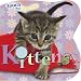 Kittens (Touch and Sparkle)