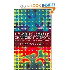 How the Leopard Changed its Spots: Evolution of Complexity