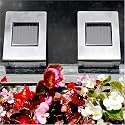 Sohodecor 2 Pack Grand Luxy Stainless Steel Wall Mounted Solar Path Light with 4.5 Inch Amorphous Solar Panel