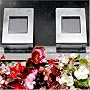 Sohodecor 2 Pack Grand Luxy Stainless Steel Wall Mounted Solar Path Light with 4.5 Inch Amorphous Solar Panel