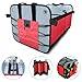 Kinbashi Premium Auto Trunk Organizer Collapsible Cargo Storage Container
